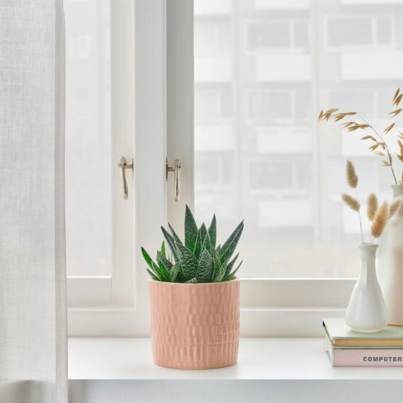 product_megamog_07_5